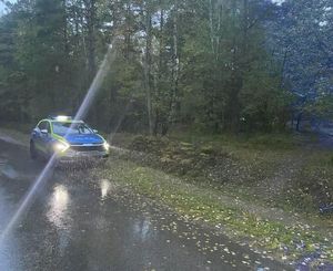 radiowóz przy lesie