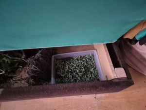 zabezpieczone specyfiki