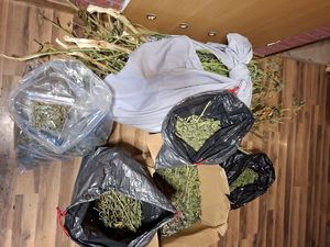 Zabezpieczone przez policjantów substancje