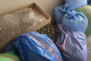 Zabezpieczona kontrabanda