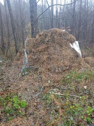 zatrzymani poszukiwani