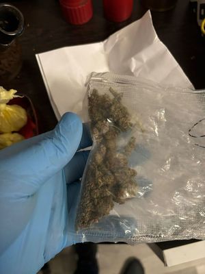 zatrzymani poszukiwani