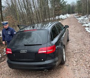 zatrzymany do kontroli