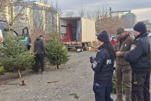 służby na targowisku miejskim w Opatowie