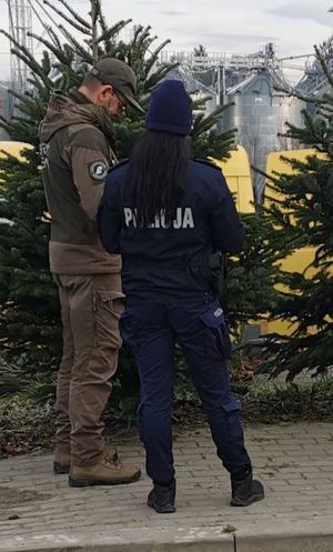 służby na targowisku miejskim w Opatowie