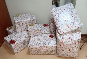 Policjanci z Wydziału do walki z Przestępczością Gospodarczą kieleckiej komendy wsparli potrzebującą osobę w ramach akcji „Szlachetna Paczka”