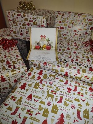 Policjanci z Wydziału do walki z Przestępczością Gospodarczą kieleckiej komendy wsparli potrzebującą osobę w ramach akcji „Szlachetna Paczka”