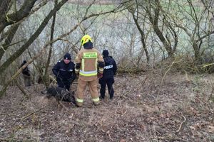 Wigilijne poszukiwania