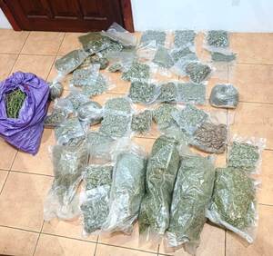 zabezpieczona plantacja