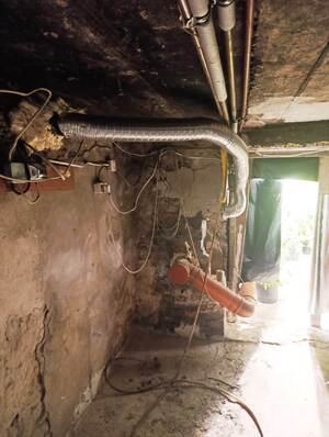 zabezpieczona plantacja