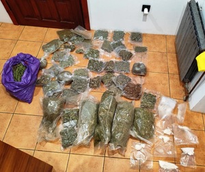 zabezpieczona plantacja