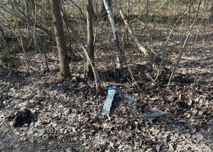 uszkodzony pojazd i tablica rejestracyjna