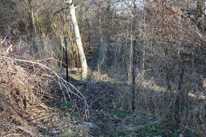 zabezpieczone przedmioty