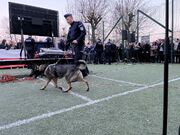 policjanci zabezpieczający wydarzenie