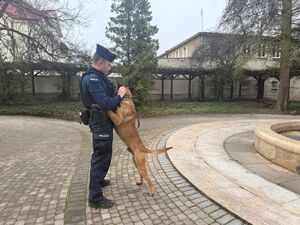 policyjne pieski z przewodnikami