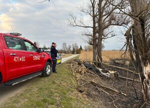 Obszary zagrożone wypalaniem traw pod obserwacją Policji i Straży Pożarnej
