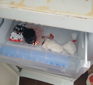 Zabezpieczone przez policjantów substancje