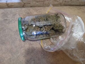 Słoik pełen suszu marihuany