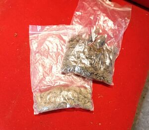 zabezpieczone narkotyki i krzaki konopi