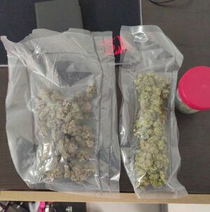 zabezpieczone narkotyki