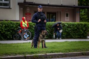 policjanci zabezpieczający mecz