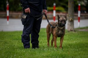 policjanci zabezpieczający mecz