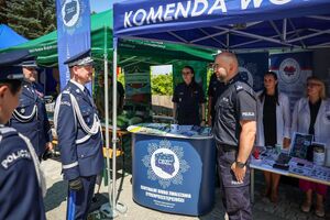 piknik rodzinny i oddawanie krwi