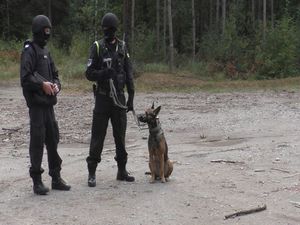 Bomba w urzędzie miasta